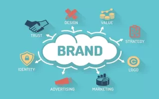 Consistent Brand Identity Across Videos