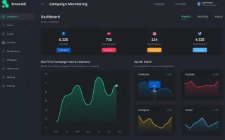 Real-Time Campaign Monitoring