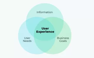 User-focused design