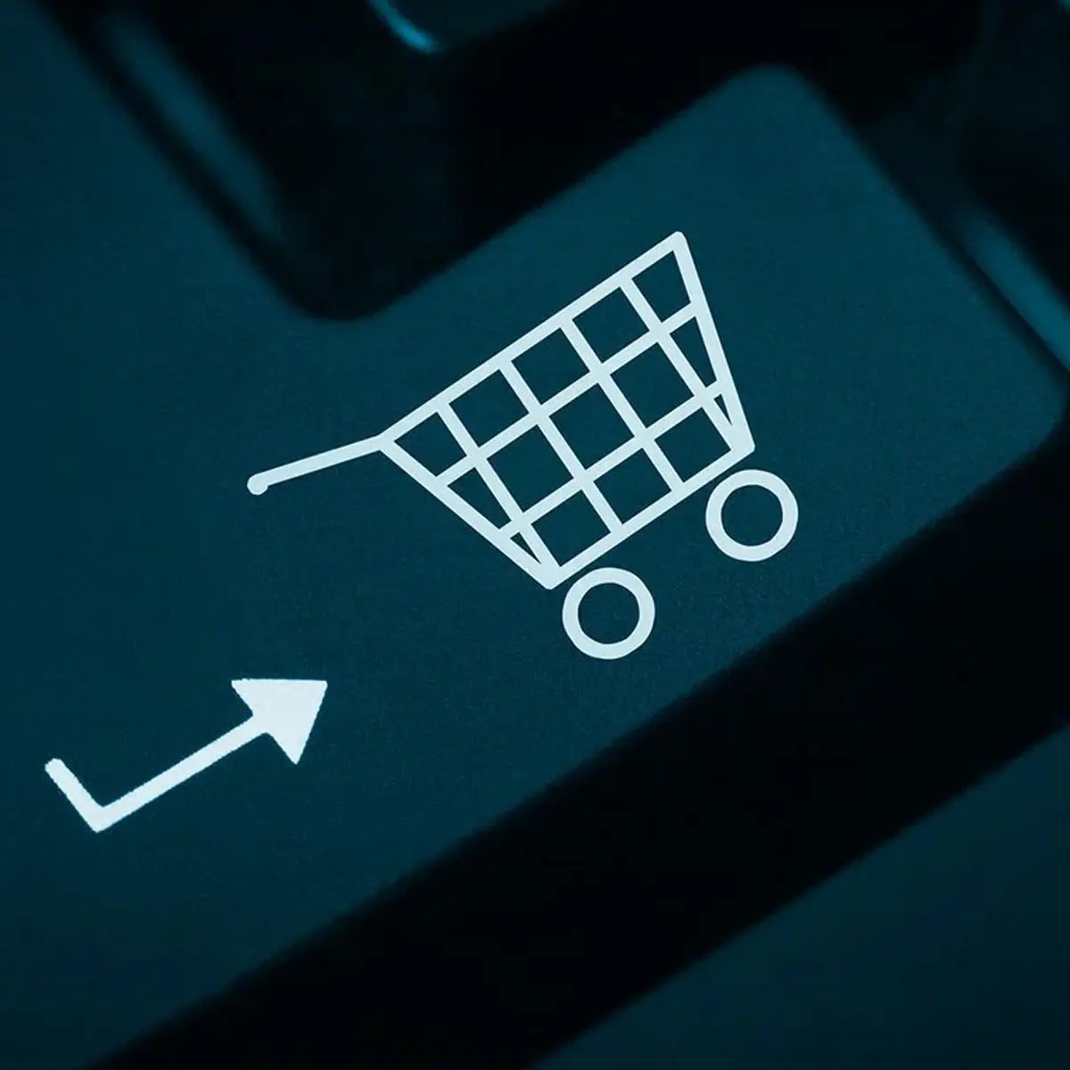 How Do Multi Vendor Ecommerce Platforms Handle Security?