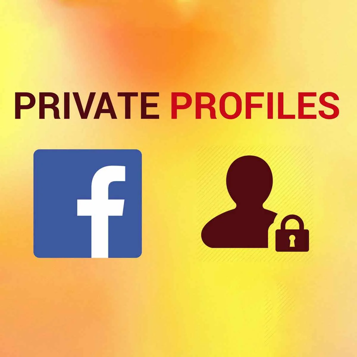 Private Profile Settings Allowing Users to Control What Information Is Visible