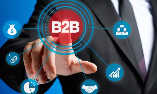 B2B Portal Development in Upper Siang