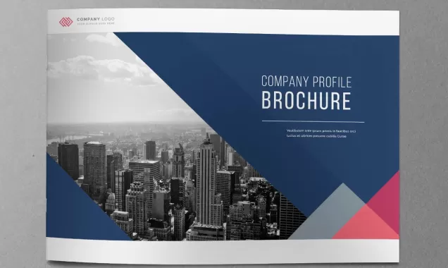 PDF Brochure Designing in Vladivostok