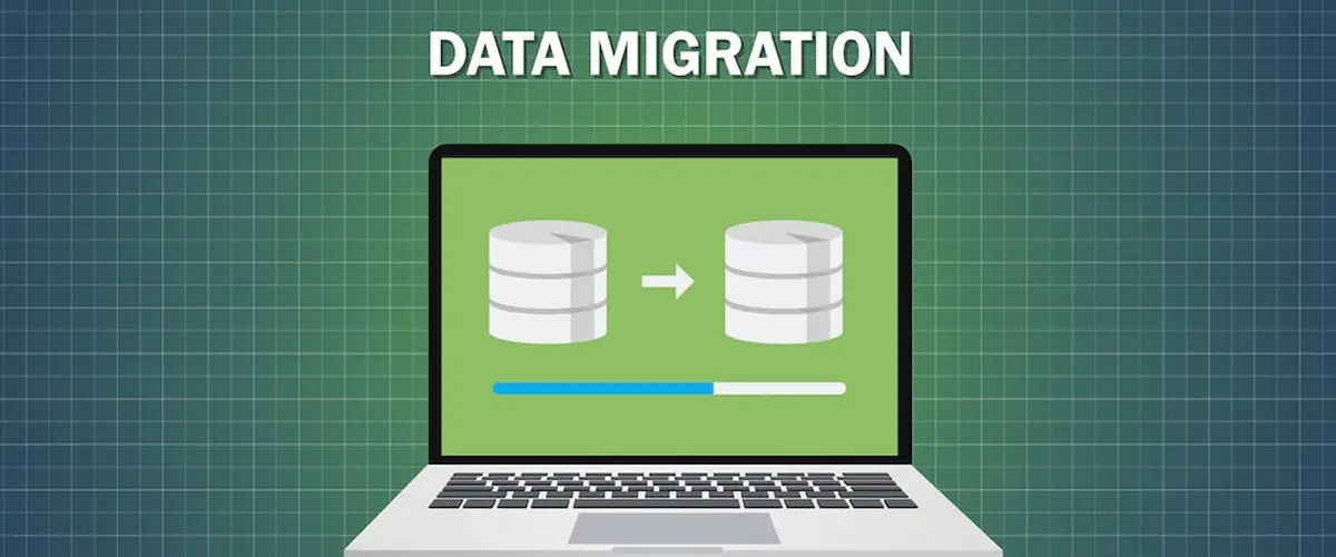 Data Migration & Import