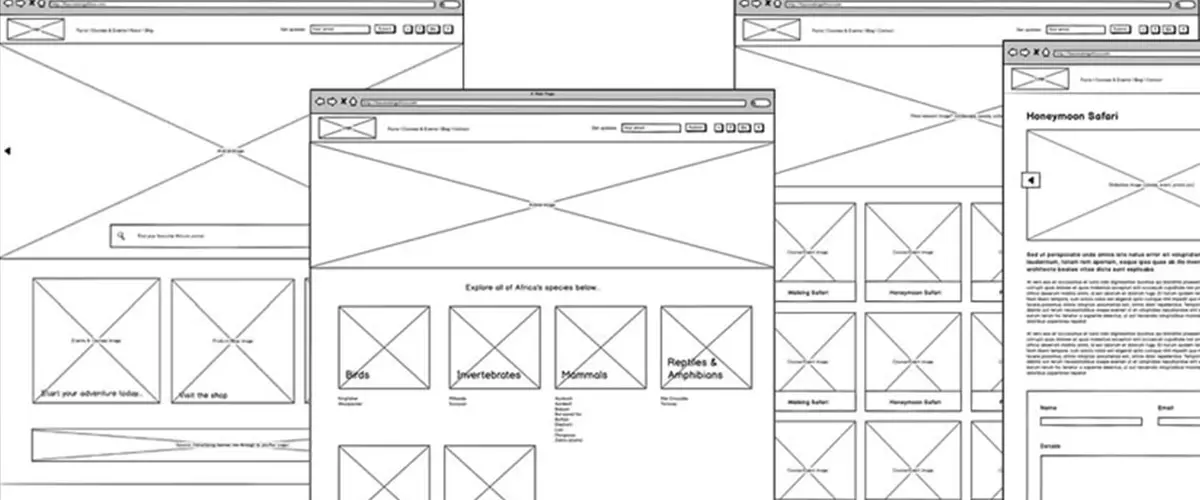 Design & Wireframing