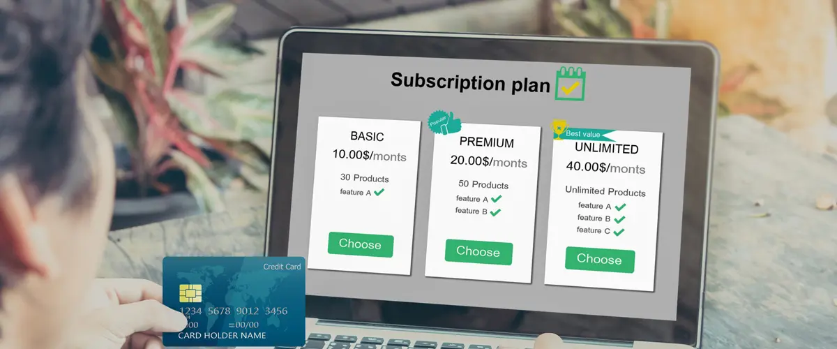 Payment and Subscription Management