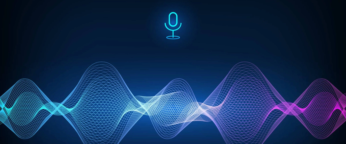 Voice Analytics and Insights